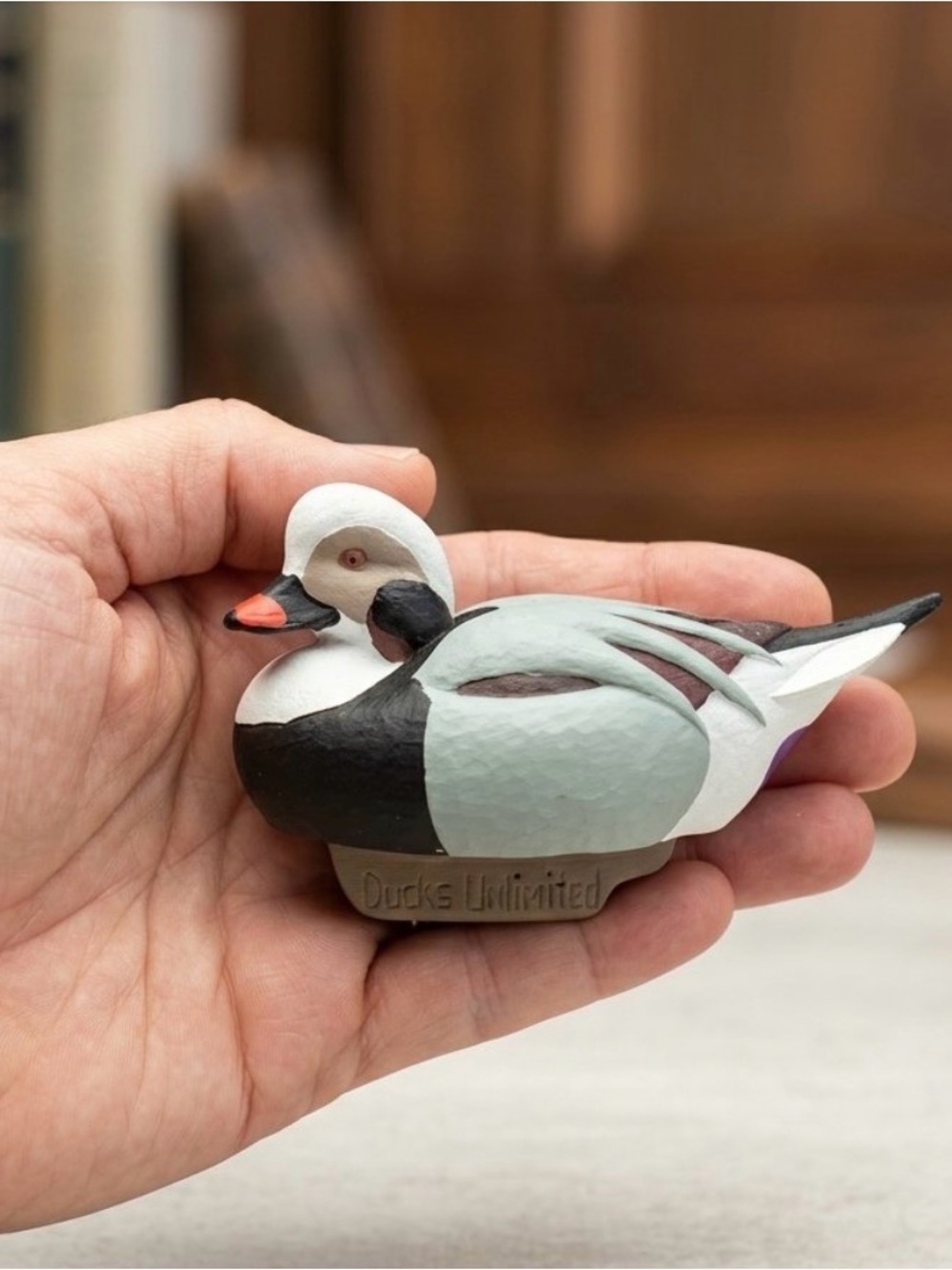 Ducks Unlimited 2022 Jett Brunet Long-Tailed Duck / Oldsquaw